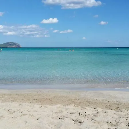 146 Casa Starfish Etv6542 By Mallorca Charme Tatil Evi Can Picafort (Mallorca)